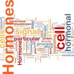 Hormone & Neurotransmitter Support